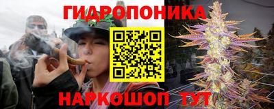 ешки Ставрополь