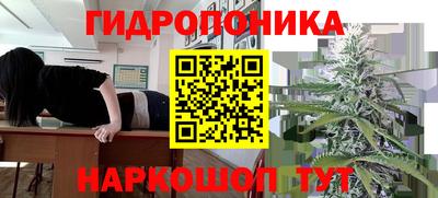 стаф Старая Купавна