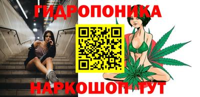 ешки Ставрополь