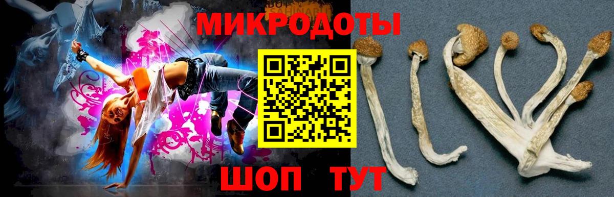 Галлюциногенные грибы MAGIC MUSHROOMS  Вход с VPN  Новотроицк  купить наркотики сайты  Псилоцибиновые грибы Magic Shrooms 